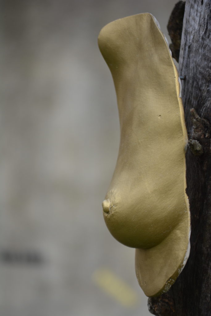 moulage de seins doré d’une femme de 60 ans, symbole de sagesse et de beauté intemporelle.
