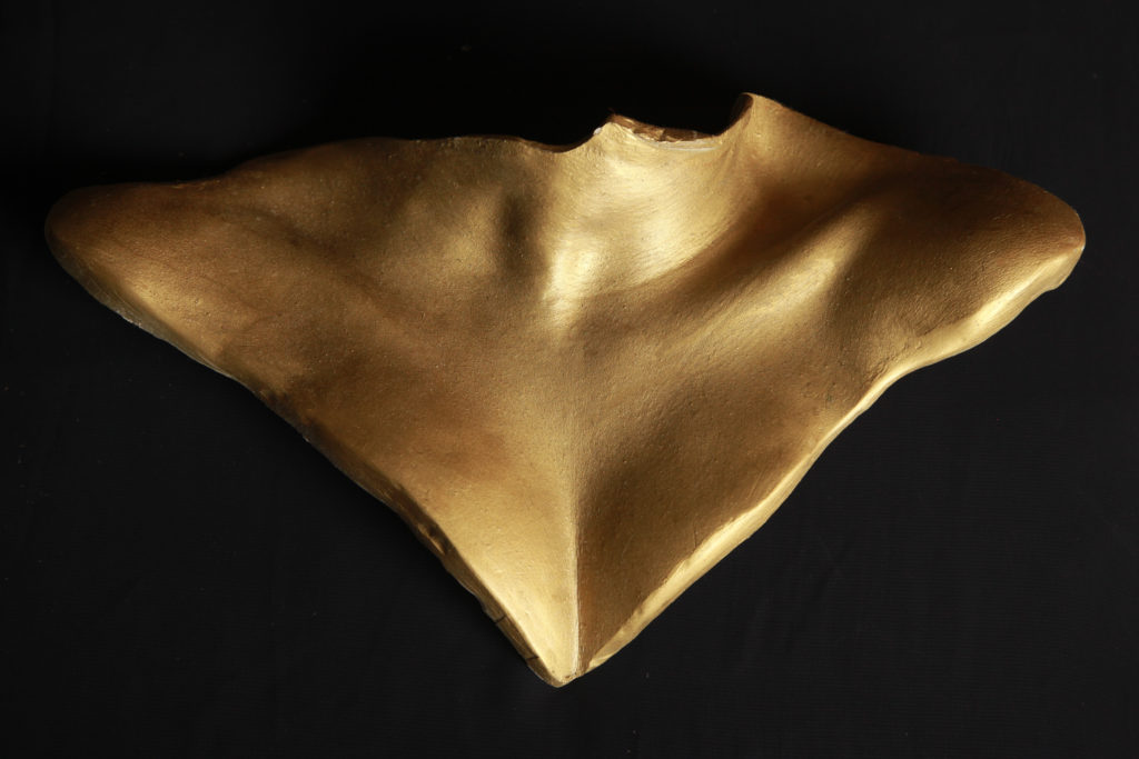 moulages 3D de clavicules en platre