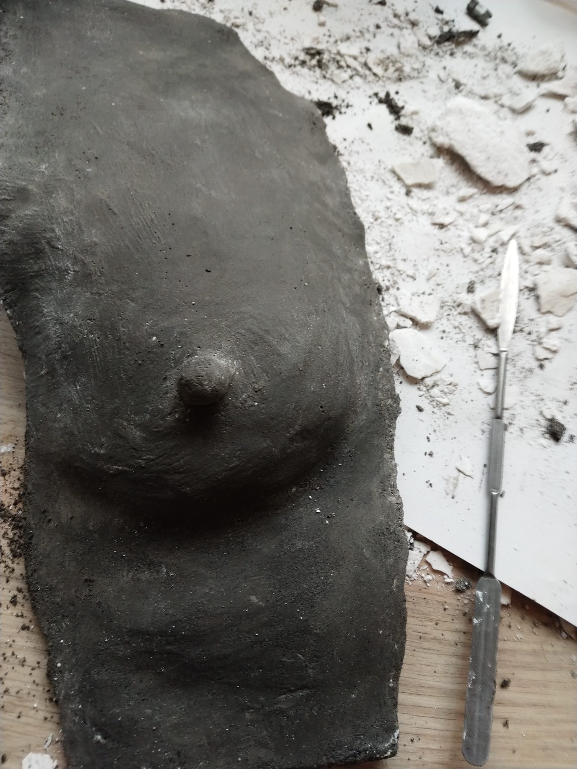Un sein de petite taille, tirage en béton brut, rappelant la beauté brute et naturelle.